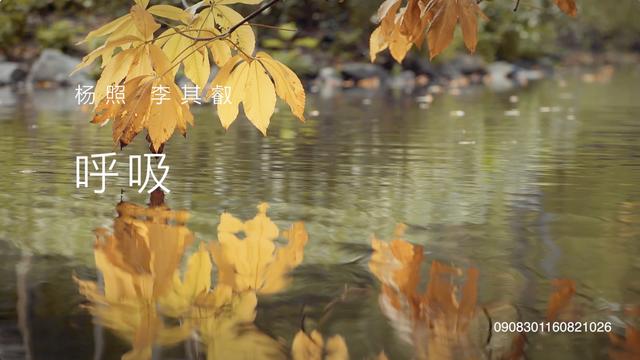02.“天分”及“变奏” | 莫扎特：小星星变奏曲I
