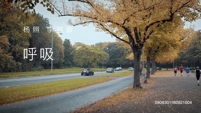 05.“速度”及“奏鸣曲” | 莫扎特：第十号奏鸣曲II