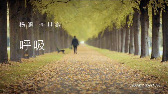 07.“贝多芬”及“德国” | 贝多芬：告别奏鸣曲I