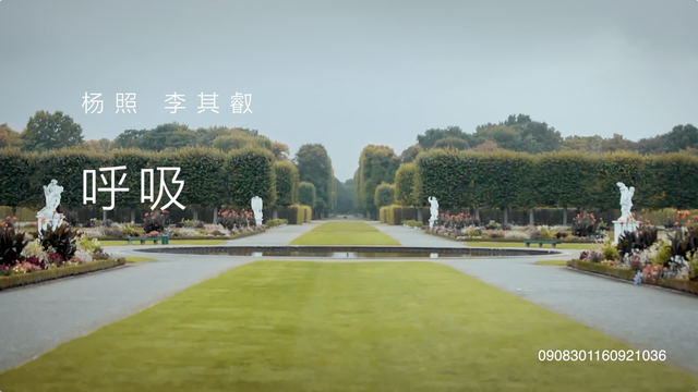 08.“音乐与感情”及“维也纳” | 贝多芬：告别奏鸣曲II