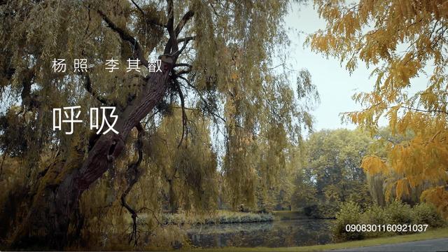 09.“诠释”及“德文” | 贝多芬：告别奏鸣曲III