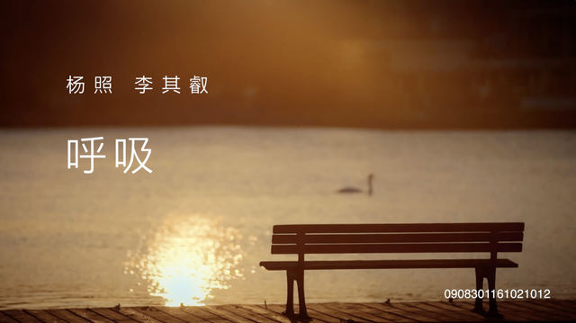 11.“快慢节奏”及“故事”| 贝多芬：暴风雨奏鸣曲II