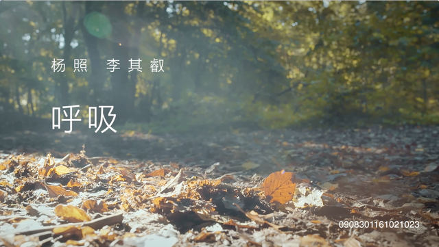 12.“大自然”及“音乐的调性” | 贝多芬：暴风雨奏鸣曲III