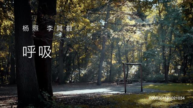 13.“旋律与和声”及“学习乐理” | 舒曼：梦幻曲