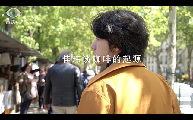 1.1 咖啡的起源